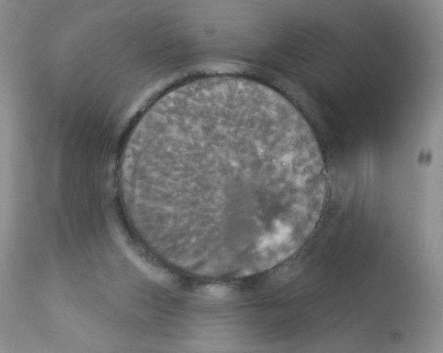 X0000113080159200910091241
