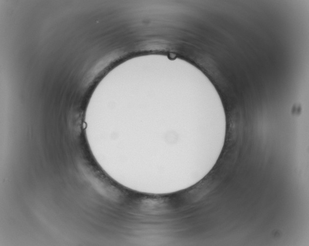 X0000113080160200910091241