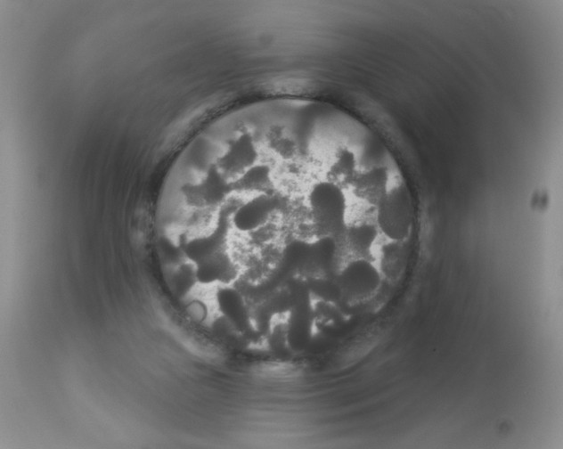 X0000113080161200910091241