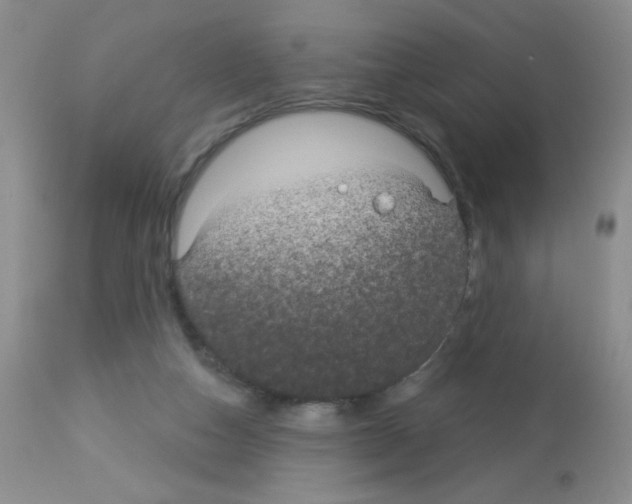 X0000113080162200910091241
