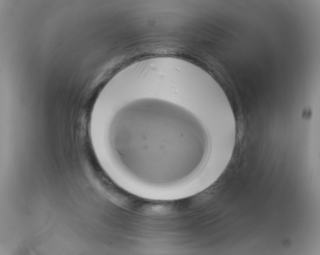 X0000113080163200910091241