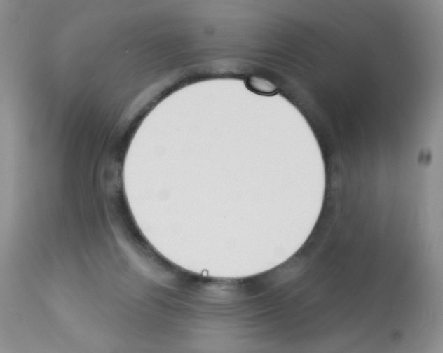 X0000113080164200910091241