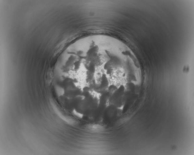 X0000113080165200910091241