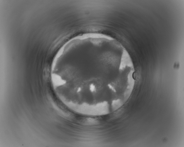 X0000113080166200910091241