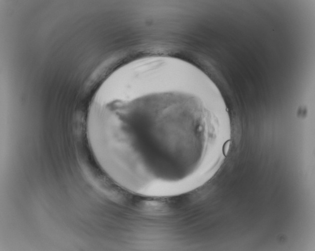 X0000113080167200910091241