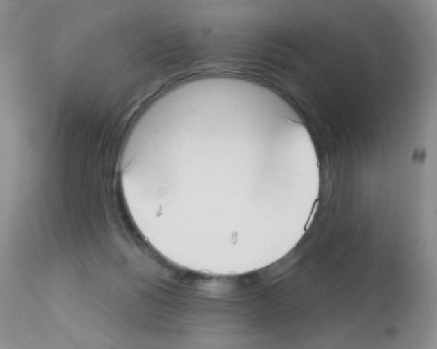 X0000113080168200910091241