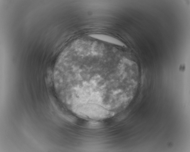 X0000113080169200910091241