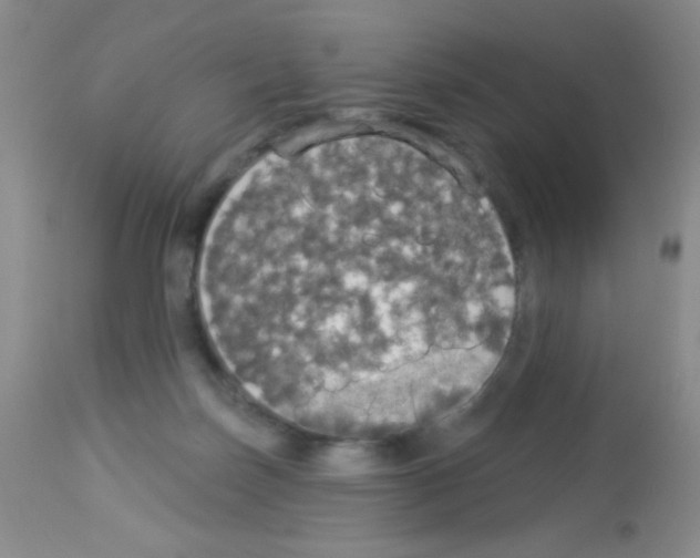 X0000113080171200910091241