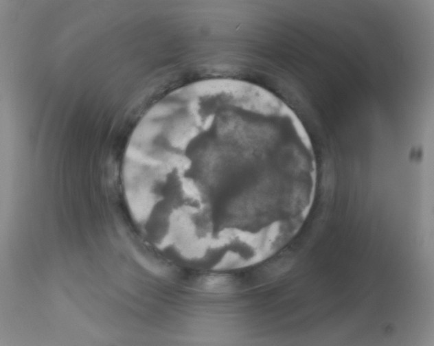 X0000113080173200910091241