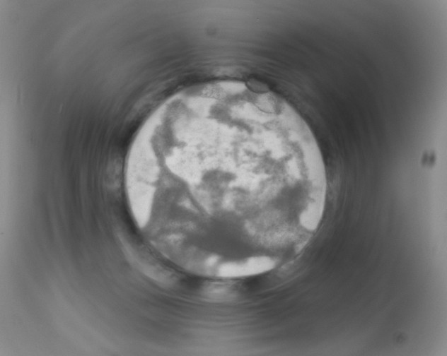 X0000113080175200910091241