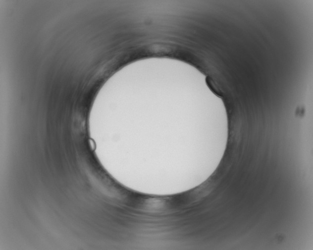 X0000113080176200910091241