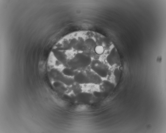 X0000113080177200910091241