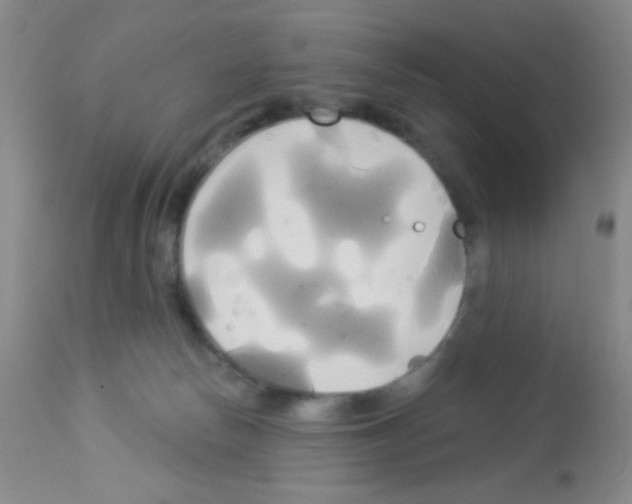 X0000113080178200910091241