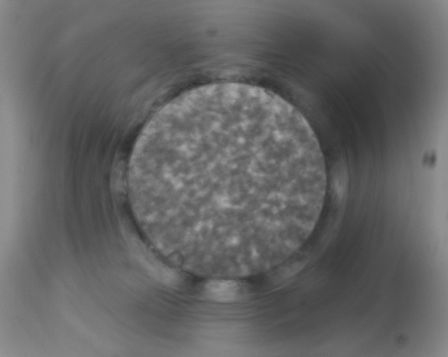 X0000113080181200910091241