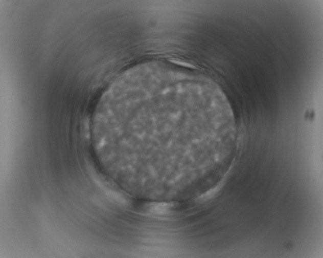 X0000113080182200910091241