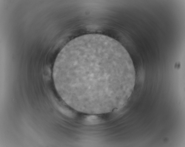 X0000113080183200910091241