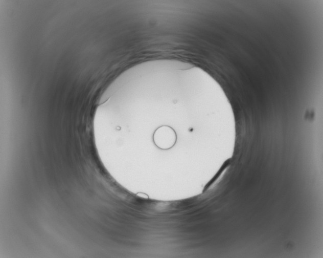 X0000113080184200910091241
