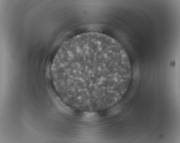 X0000113080185200910091241