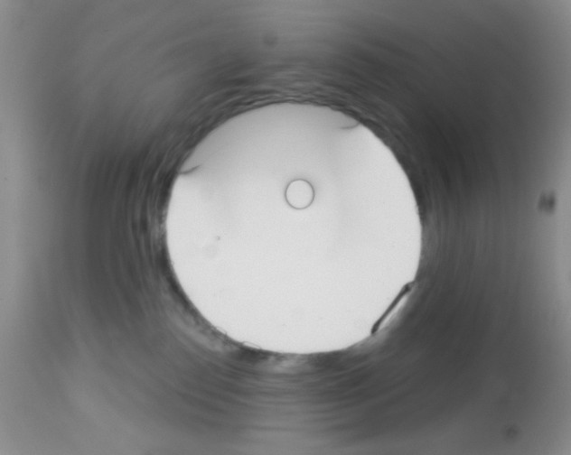 X0000113080186200910091241