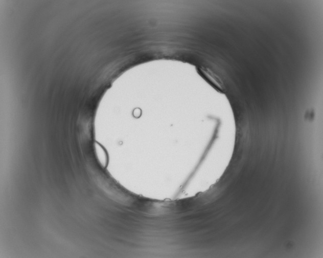 X0000113080188200910091241