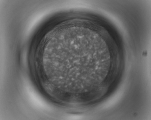 X0000113080189200910091241