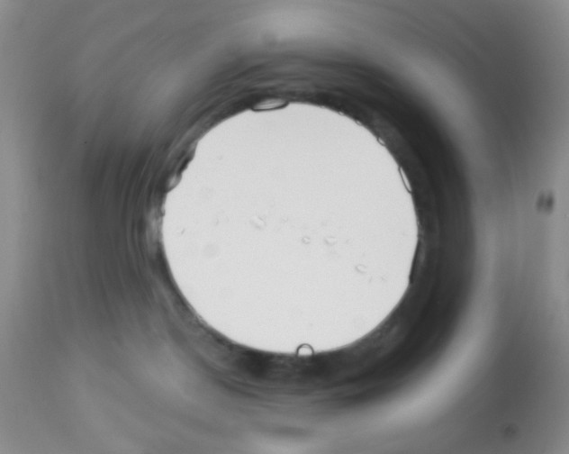 X0000113080190200910091241