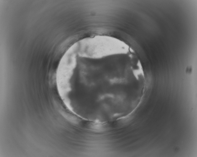 X0000113080191200910091241