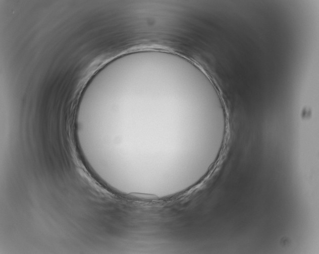 X0000113080193200910091241