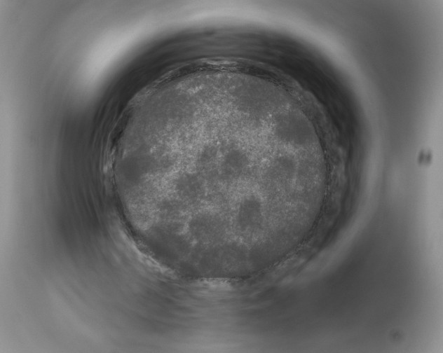 X0000113080194200910091241