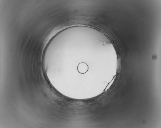 X0000113080195200910091241