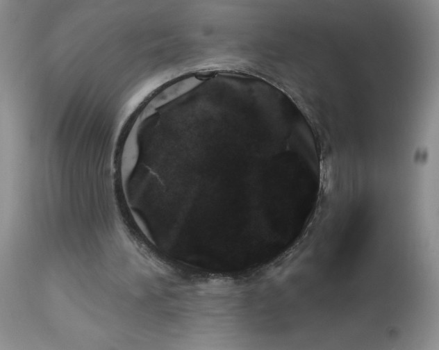 X0000113080196200910091241