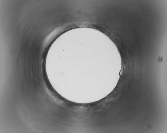 X0000113080197200910091240