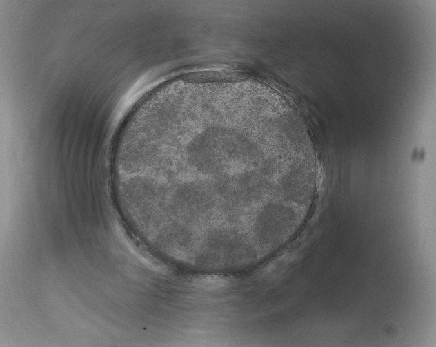 X0000113080198200910091240
