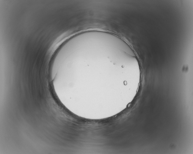 X0000113080199200910091240