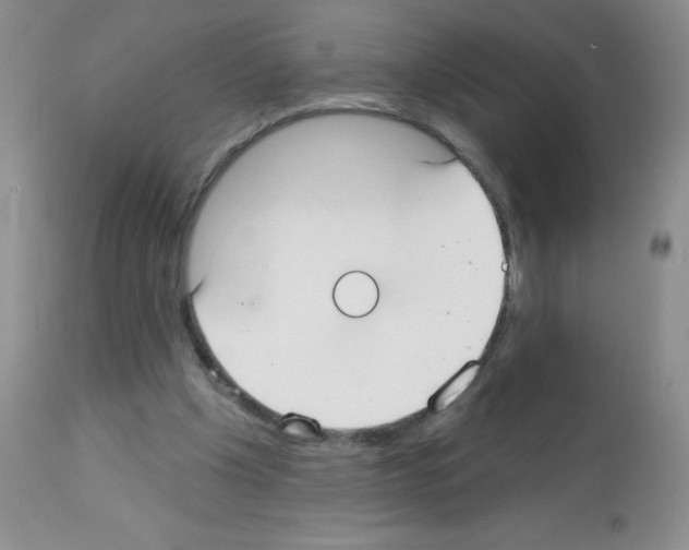 X0000113080201200910091240