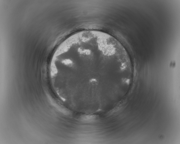 X0000113080202200910091240
