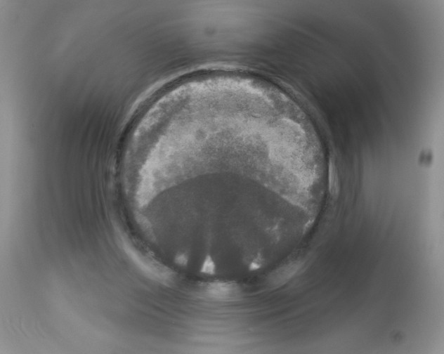 X0000113080204200910091240