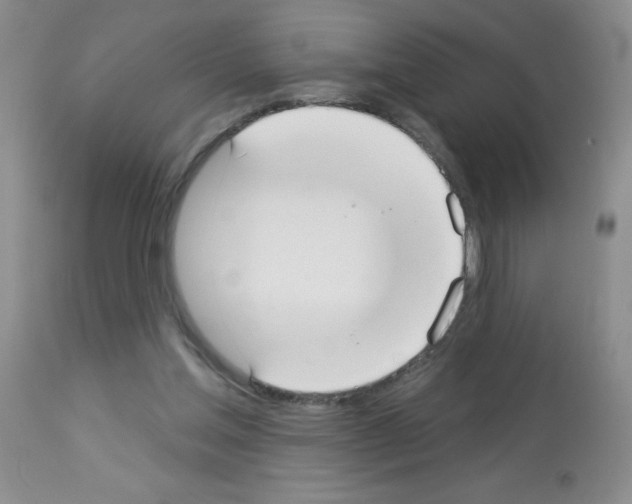 X0000113080205200910091240