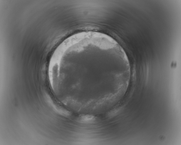 X0000113080206200910091240