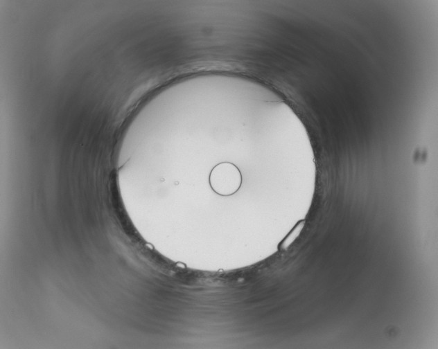 X0000113080207200910091240