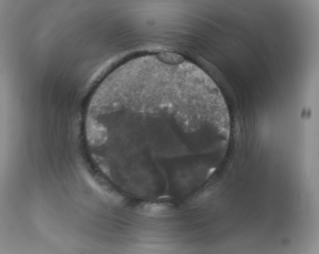 X0000113080208200910091240