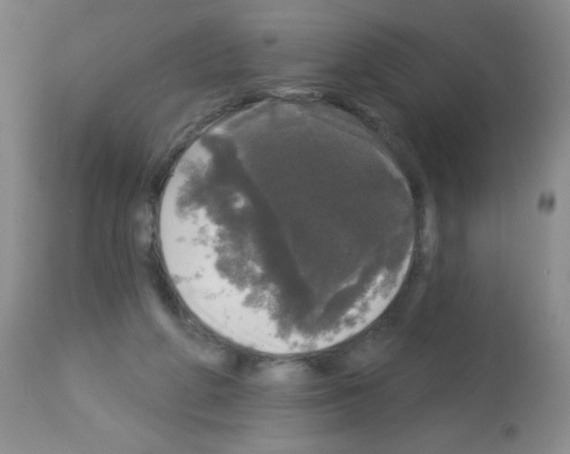 X0000113080210200910091240