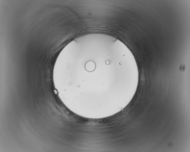 X0000113080211200910091240