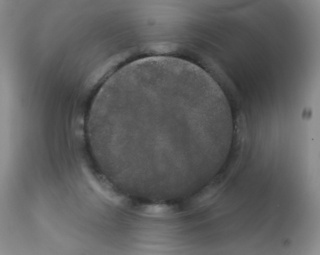 X0000113080212200910091240
