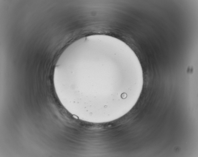 X0000113080213200910091240