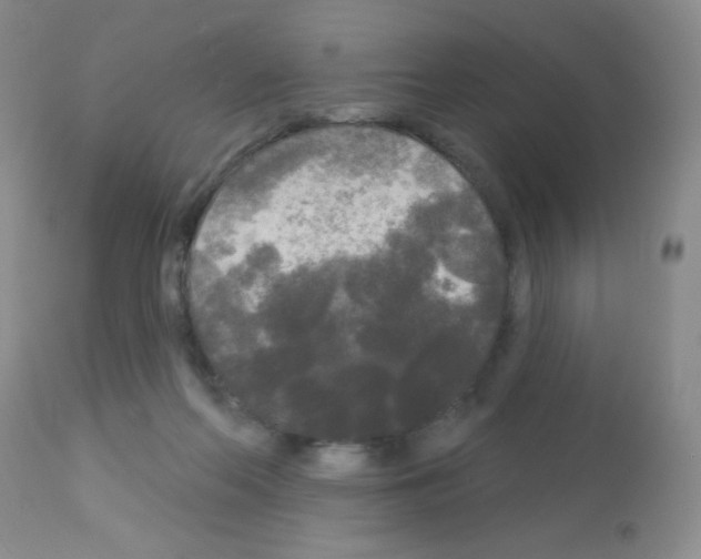 X0000113080214200910091240