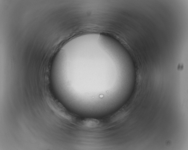 X0000113080215200910091240
