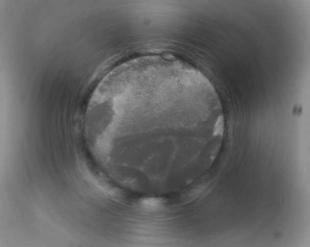 X0000113080216200910091240