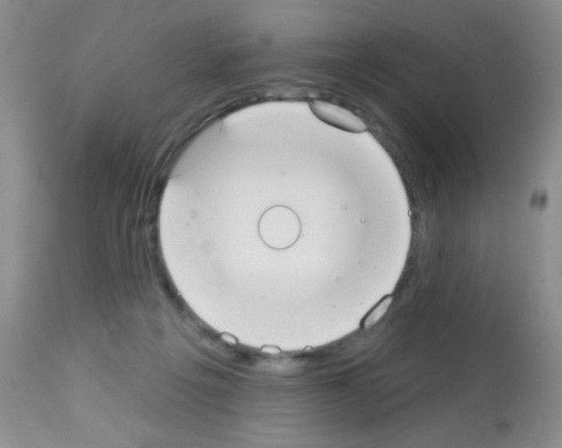 X0000113080217200910091240