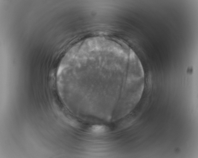 X0000113080218200910091240